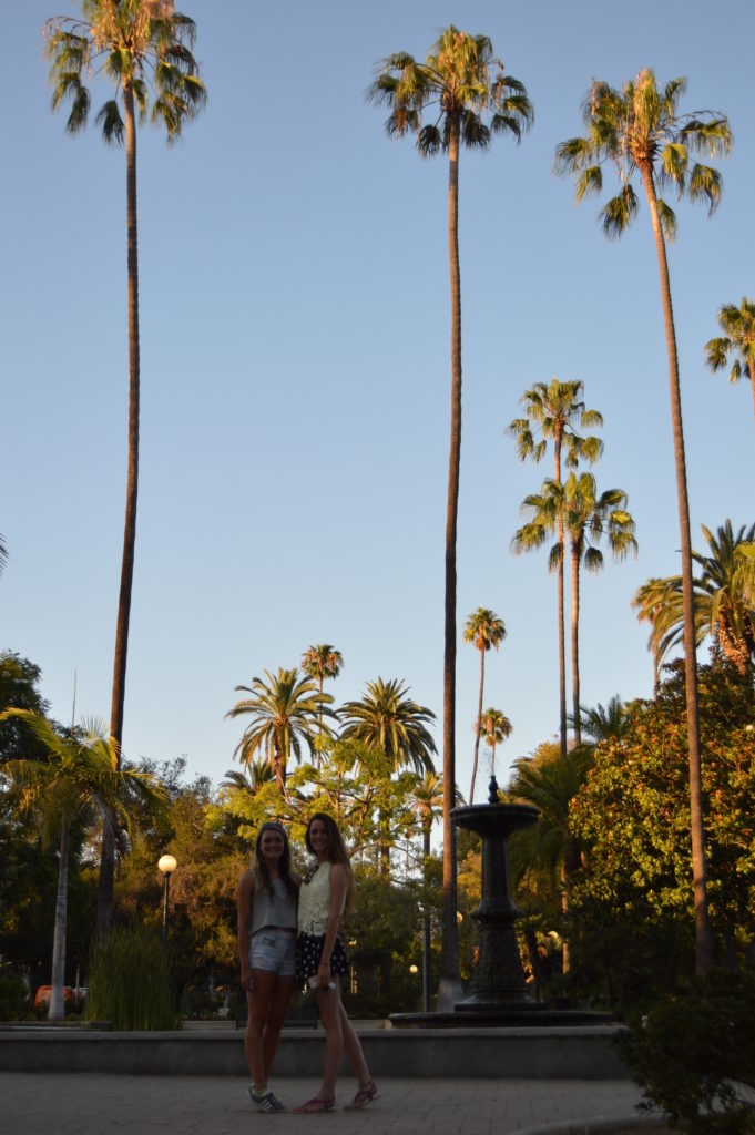 Small girls amongst the huge palm trees - Beverly Hills