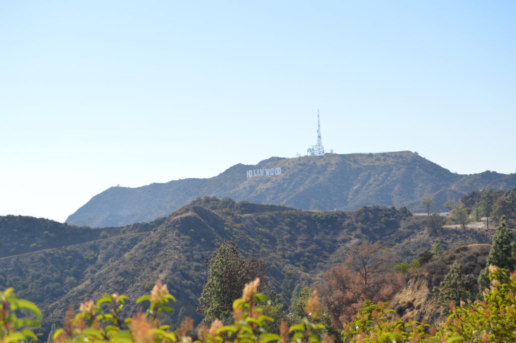 The closest we got to the Hollywood sign