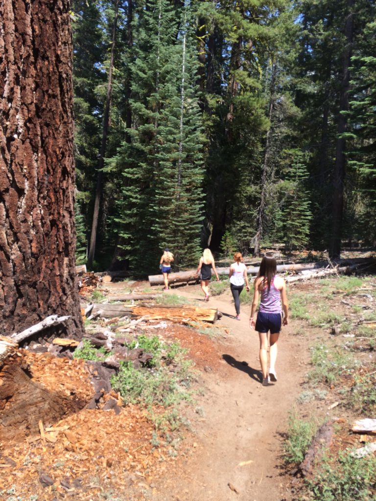 Walking alongside the Giant Sequoias
