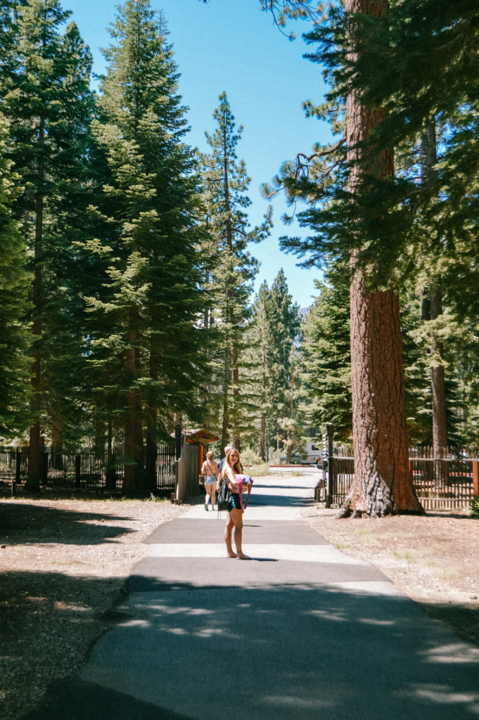 Walking among the trees at Tallac Historic Site