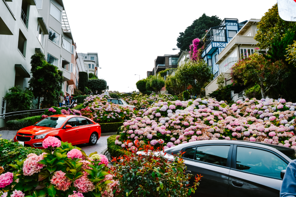 Lombard Street view from the bottom