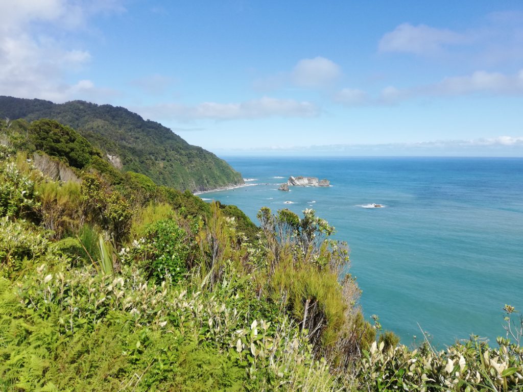 One of the many viewing spots along Haast Pass