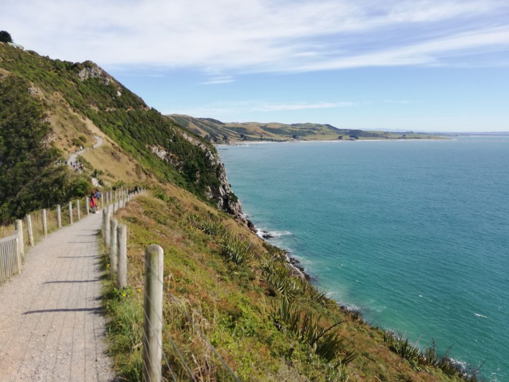 Walking trail to Nugget Point