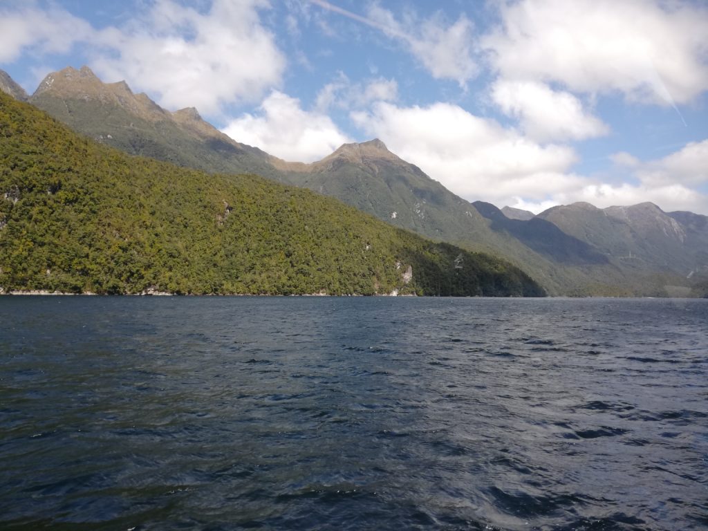 Sunny day in Doubtful Sound