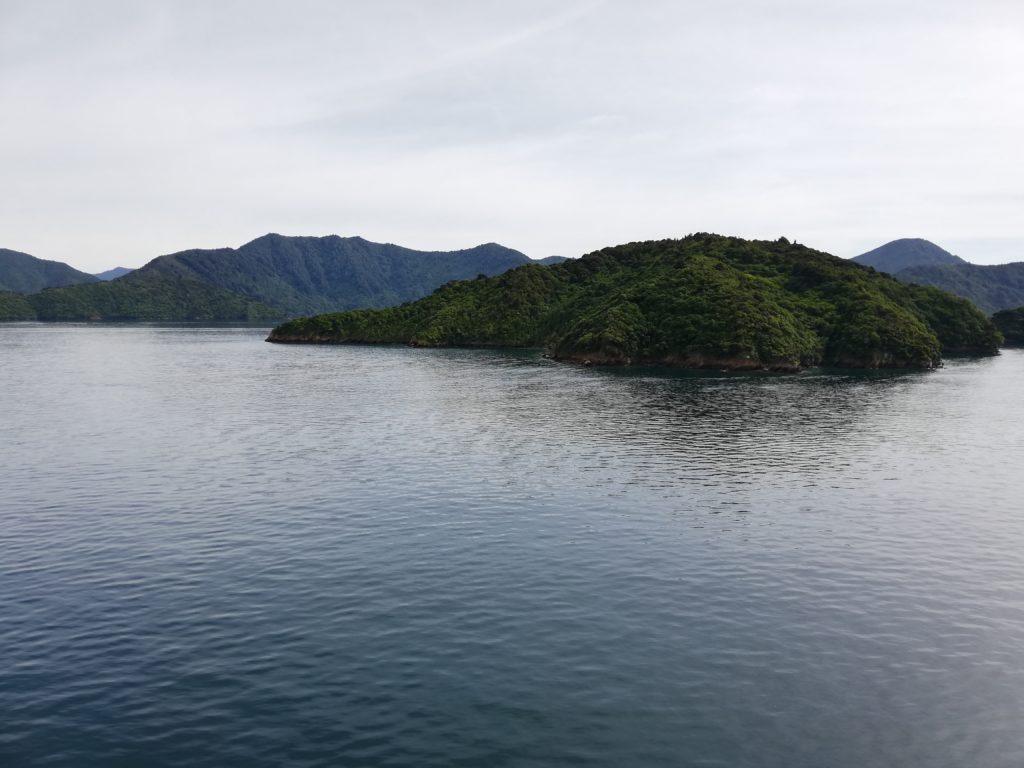 View of Marlborough Sounds from the ferry