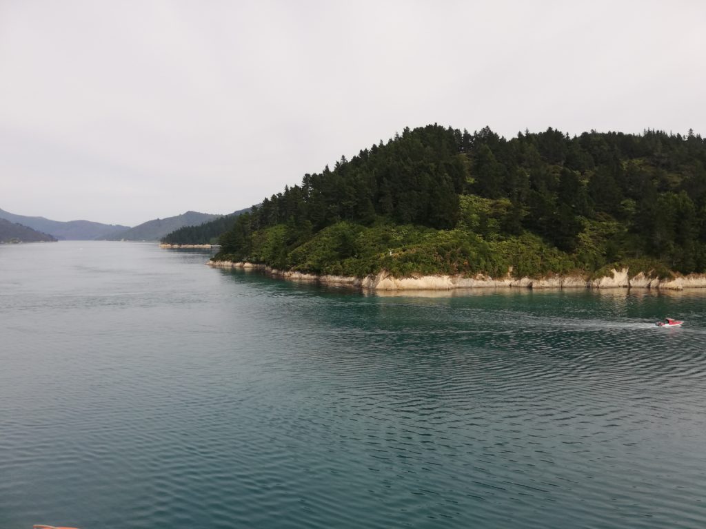 Coming into Picton on the ferry