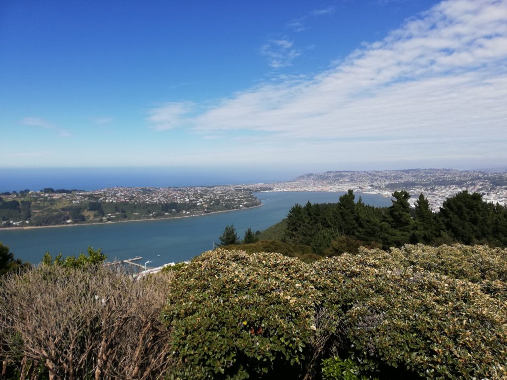 View from Signal Hill lookout