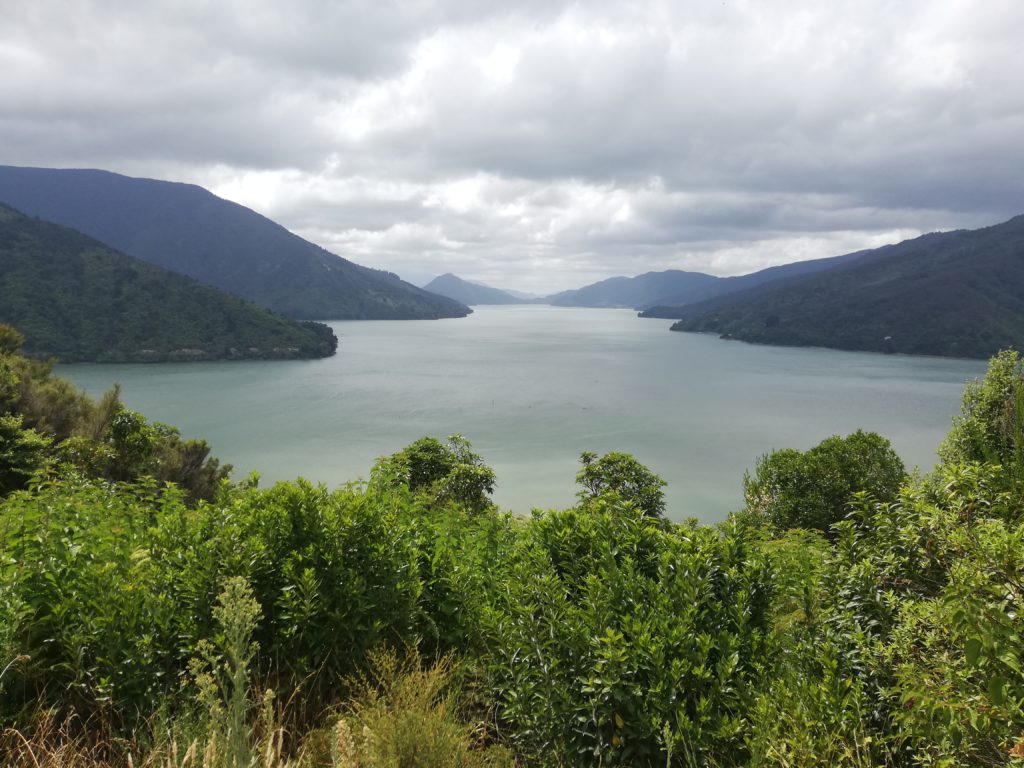 Off road view of the Marlborough Sounds