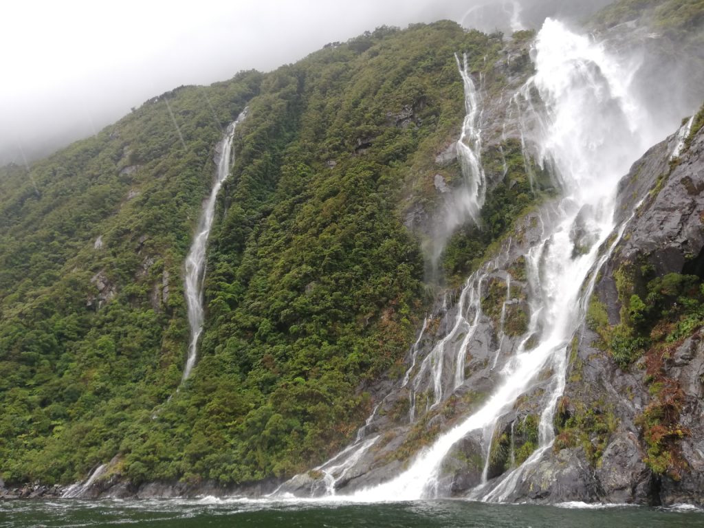 Many waterfalls in rainy Milford Sound