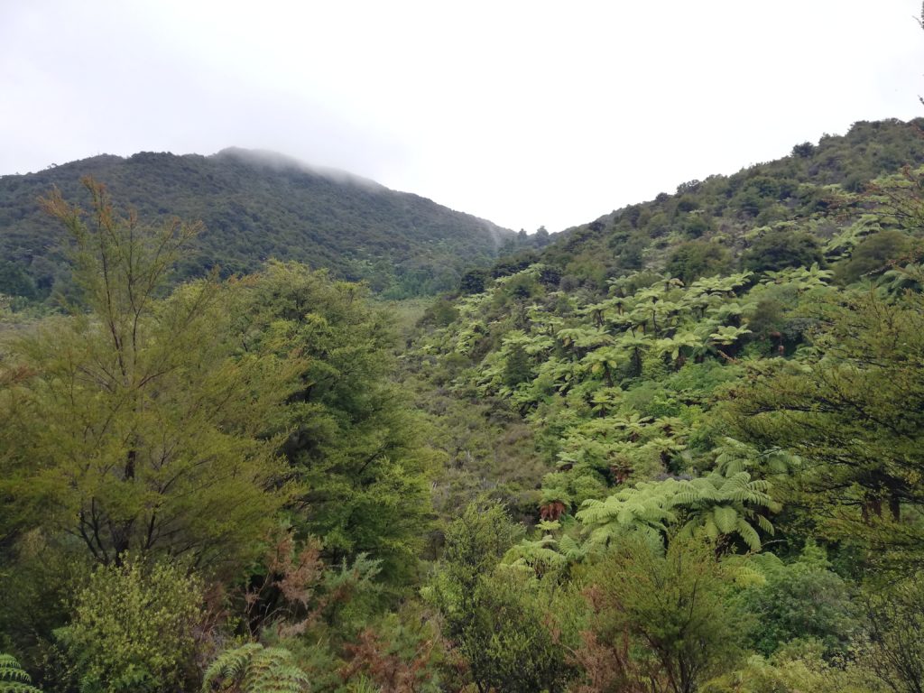 Views within Abel Tasman National Park
