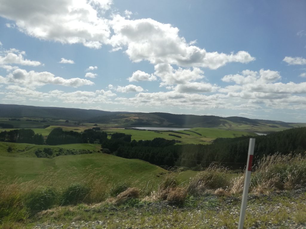 The green fields of The Catlins